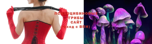 ПСИЛОЦИБИНОВЫЕ ГРИБЫ Карталы