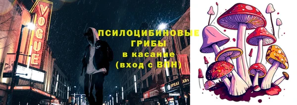 ПСИЛОЦИБИНОВЫЕ ГРИБЫ Карталы